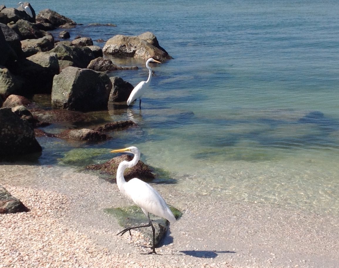 Treasure Island, Florida — City in Florida, United States