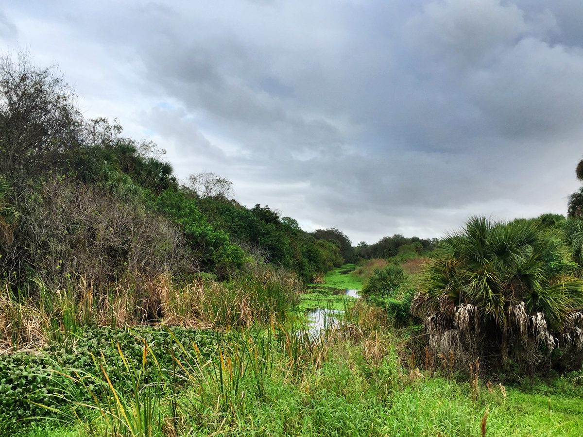 Hendry County, Florida