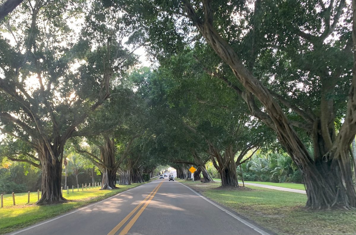 Martin County, Florida